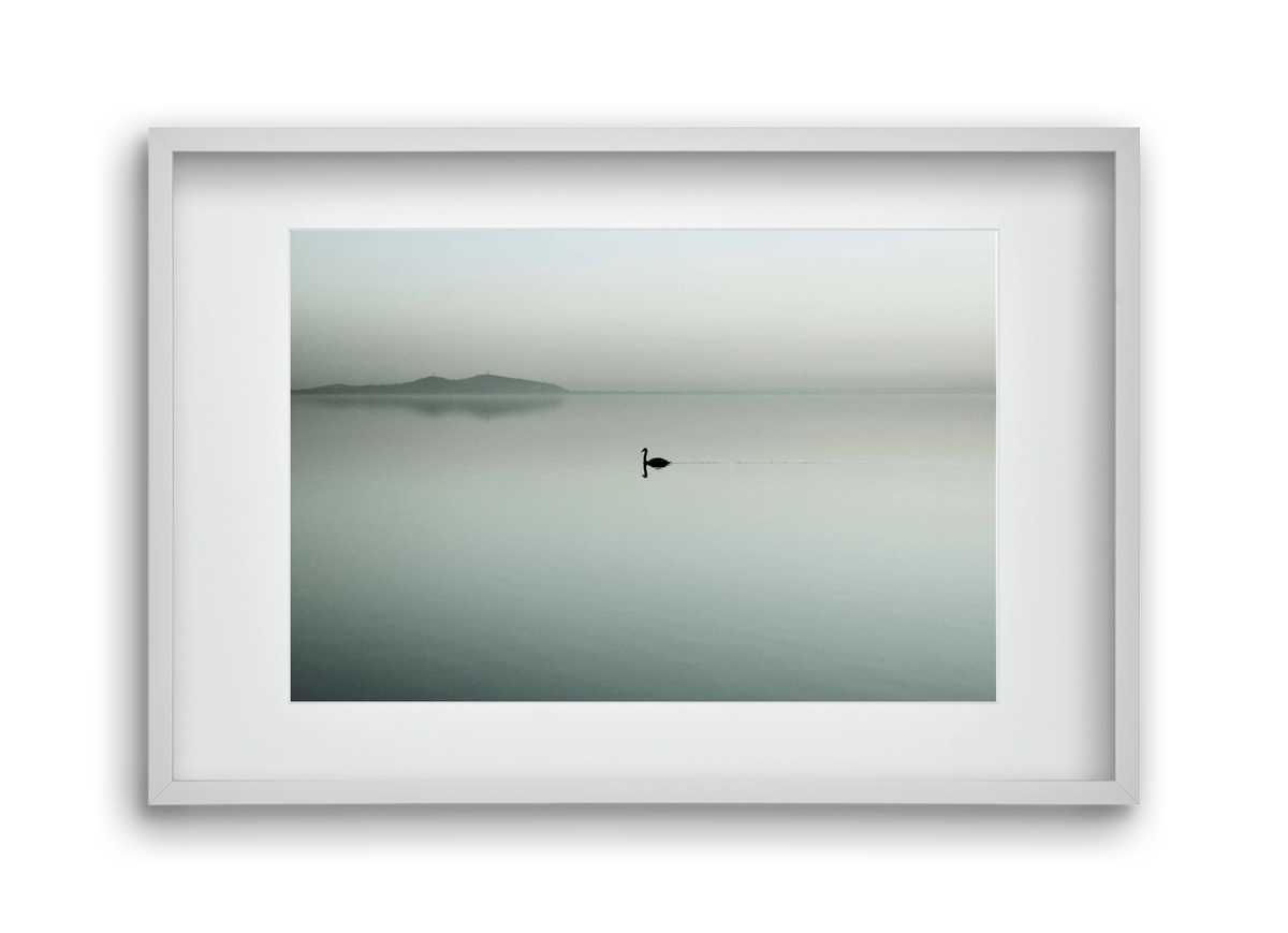 Helix, 45x30 cm (30x20 cm), Fehér keret, paszpartuval