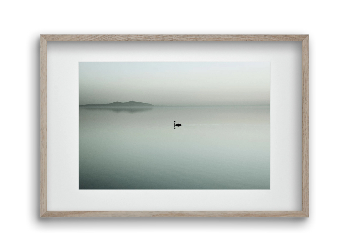 Helix, 45x30 cm (30x20 cm), Tölgy keret, paszpartuval