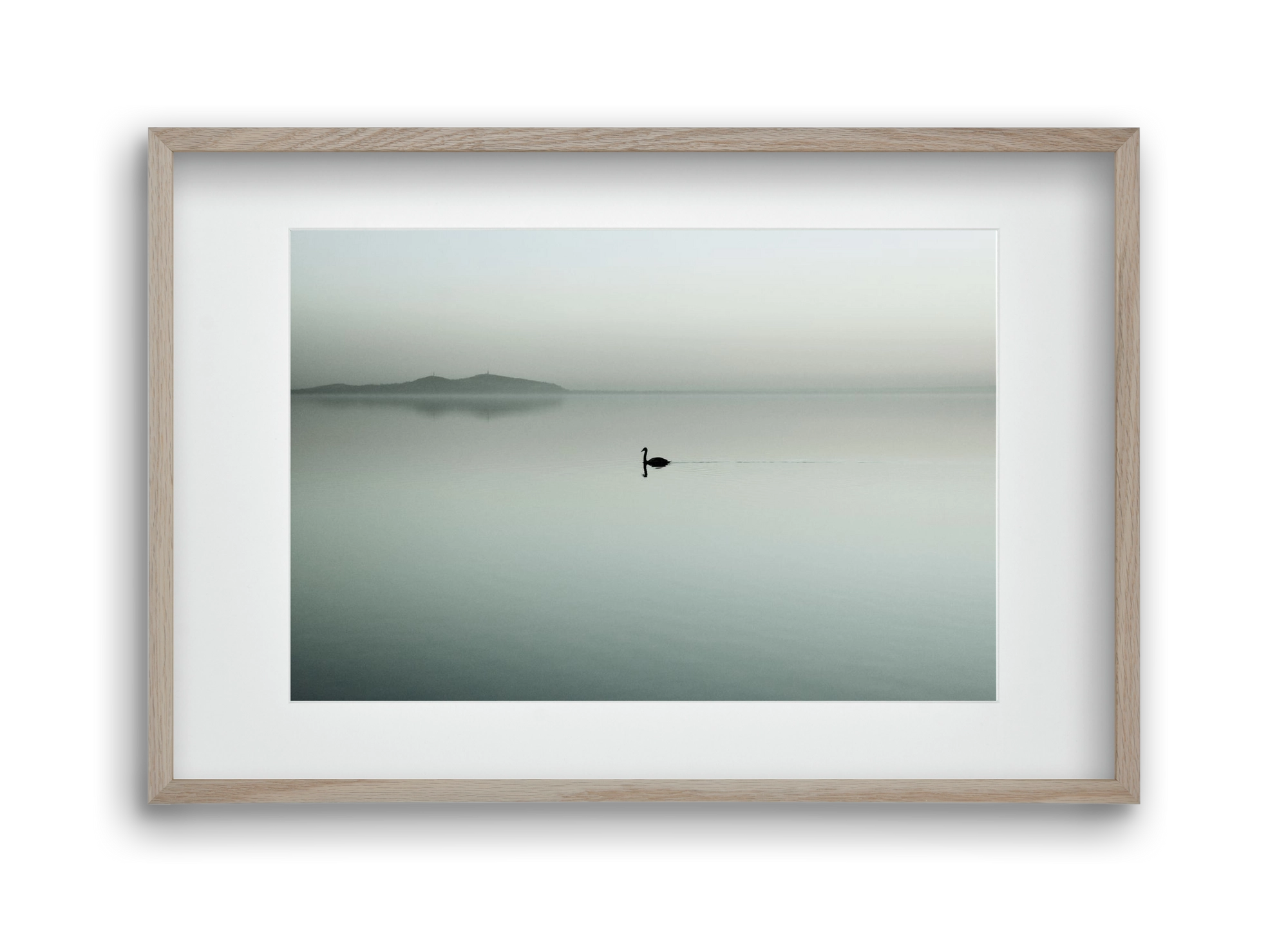 Helix, 45x30 cm (30x20 cm), Tölgy keret, paszpartuval