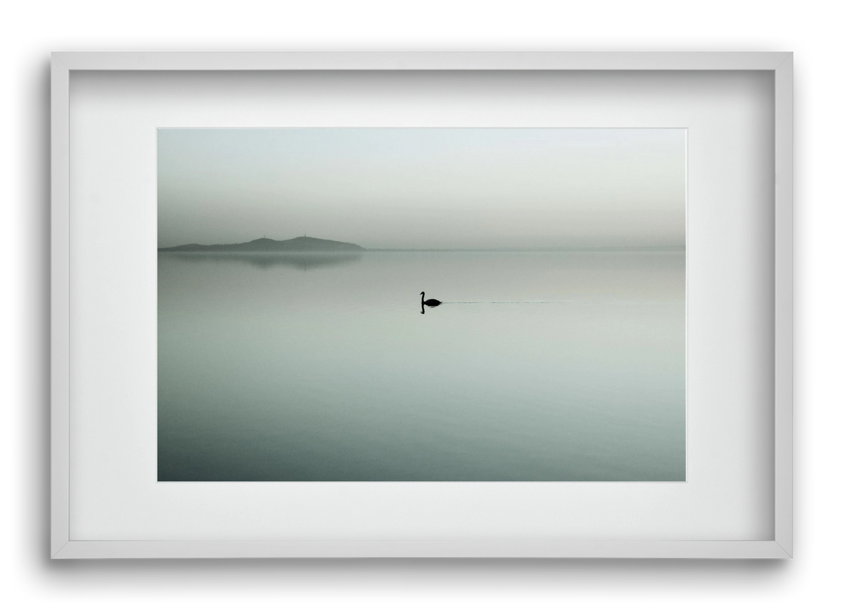 Helix, 60x40 cm (45x30 cm), Fehér keret, paszpartuval