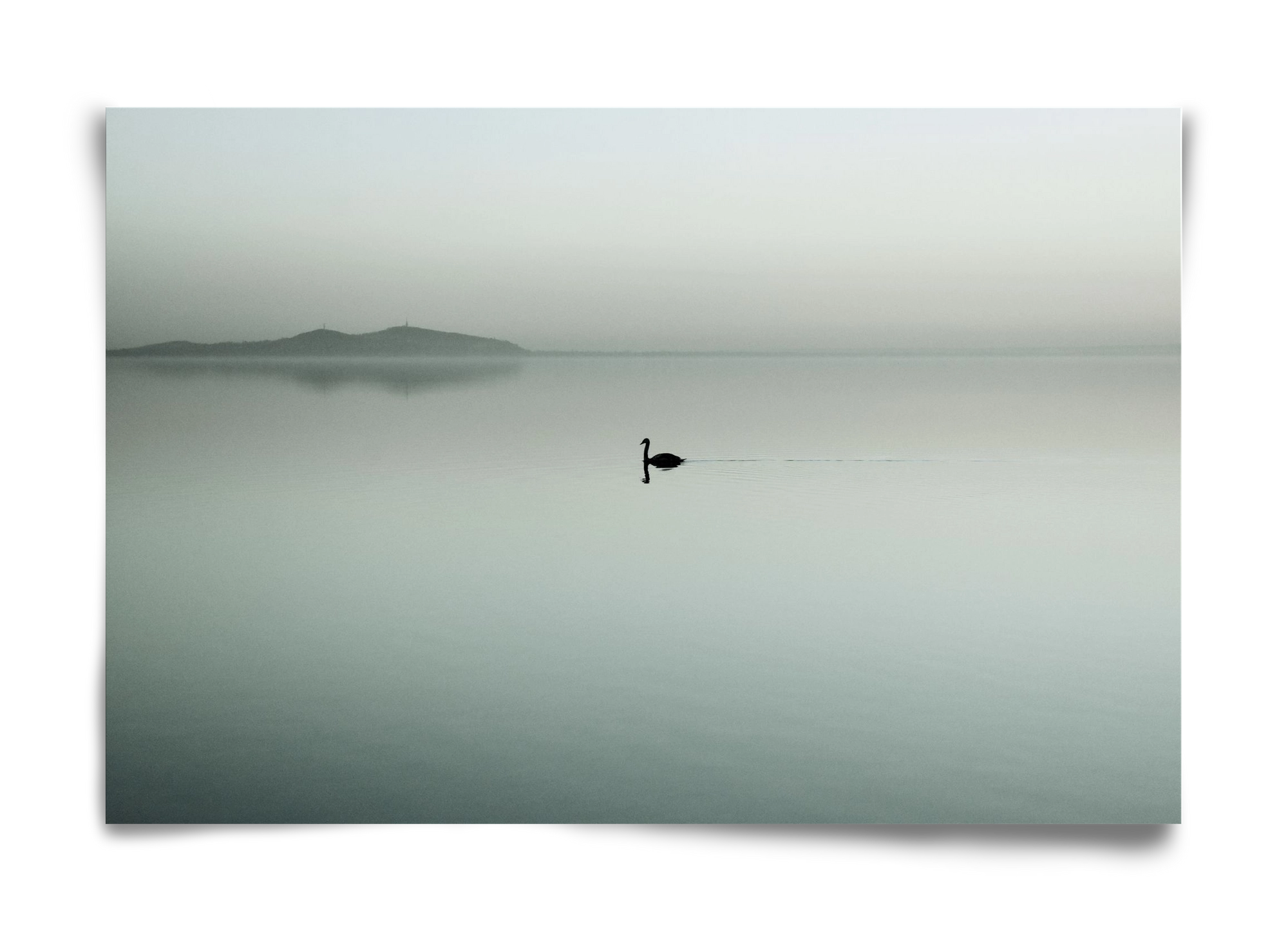 Helix, 60x40 cm, Keret nélkül