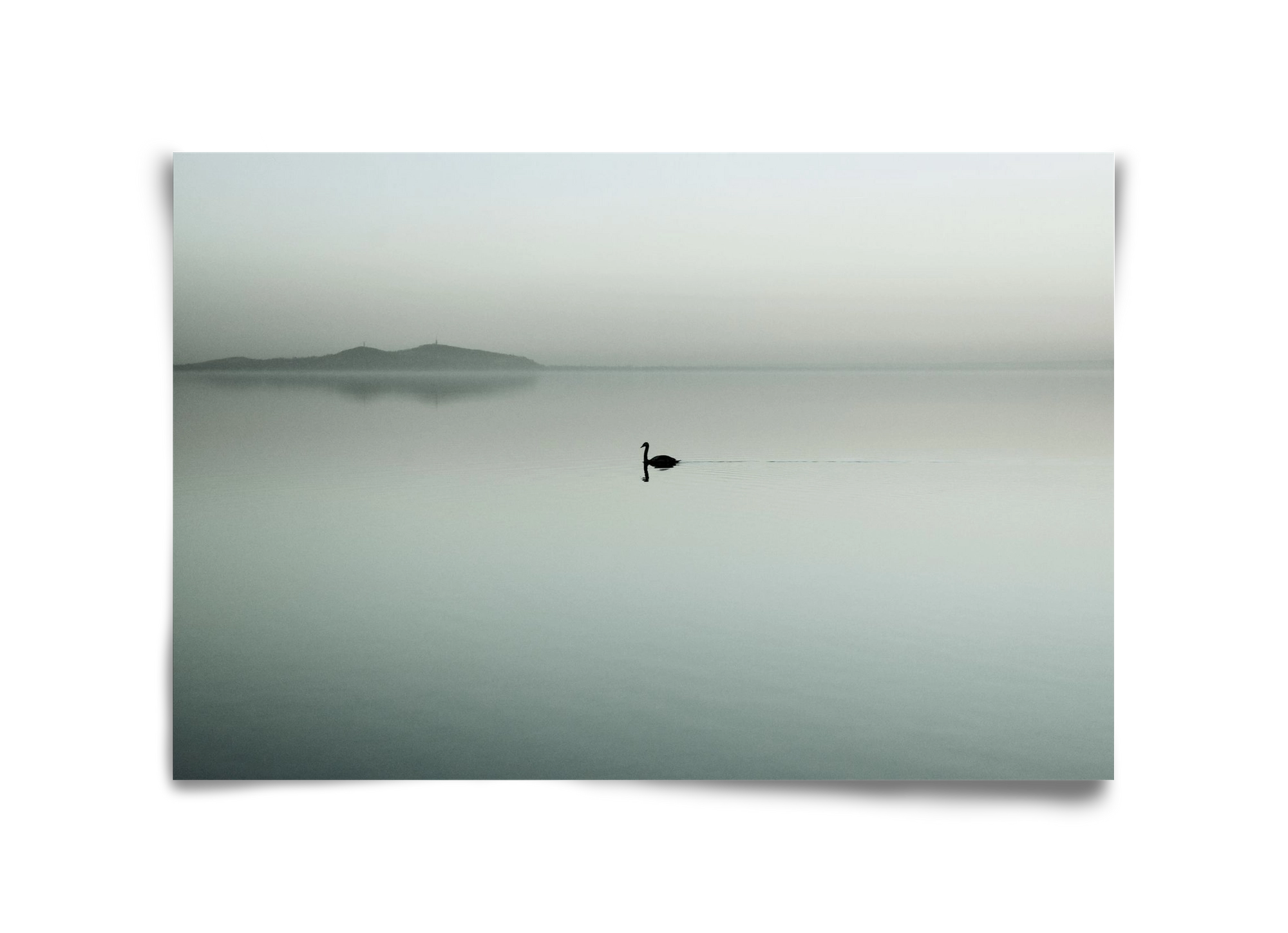 Helix, 45x30 cm, Keret nélkül