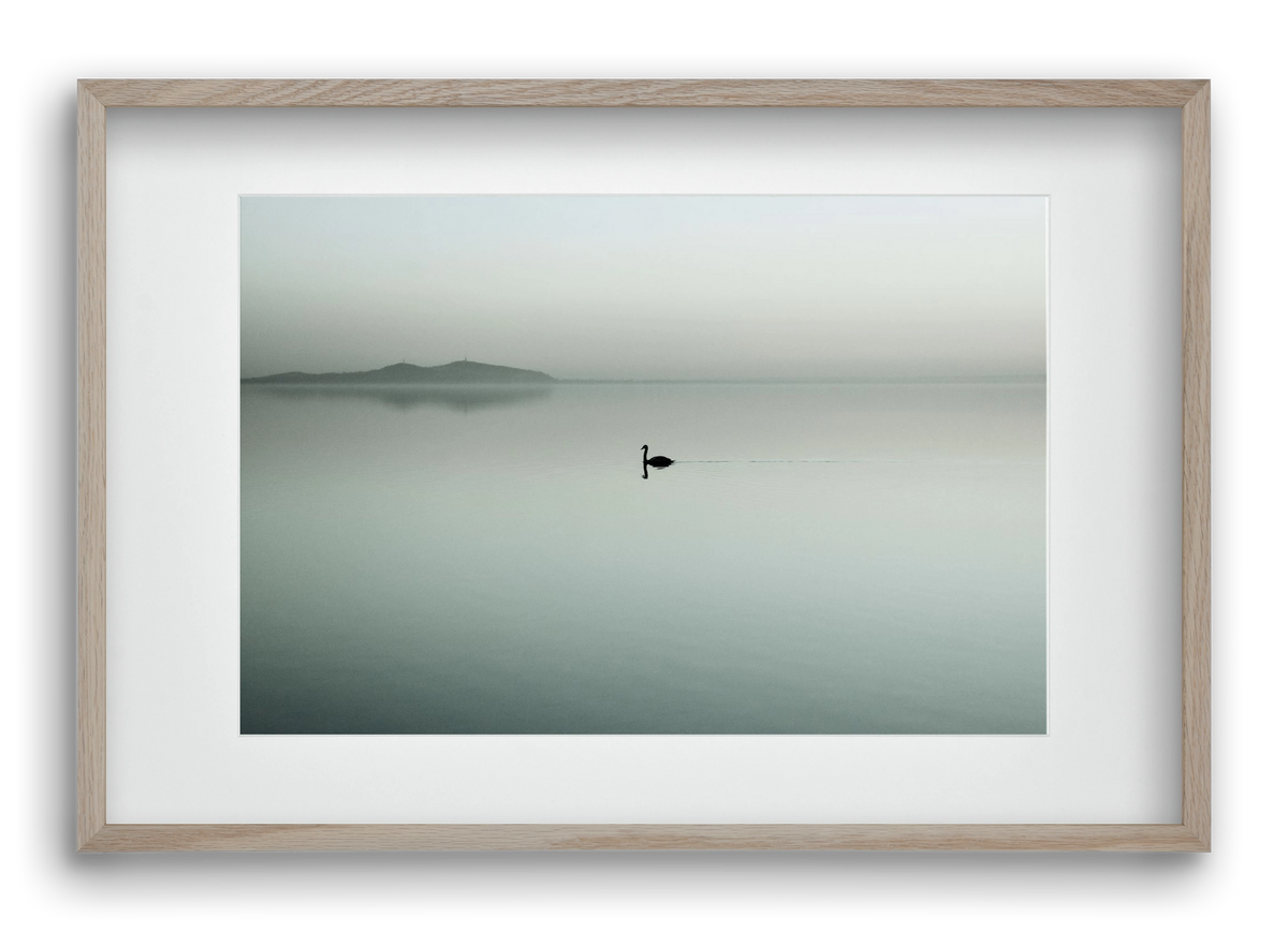 Helix, 60x40 cm (45x30 cm), Tölgy keret, paszpartuval