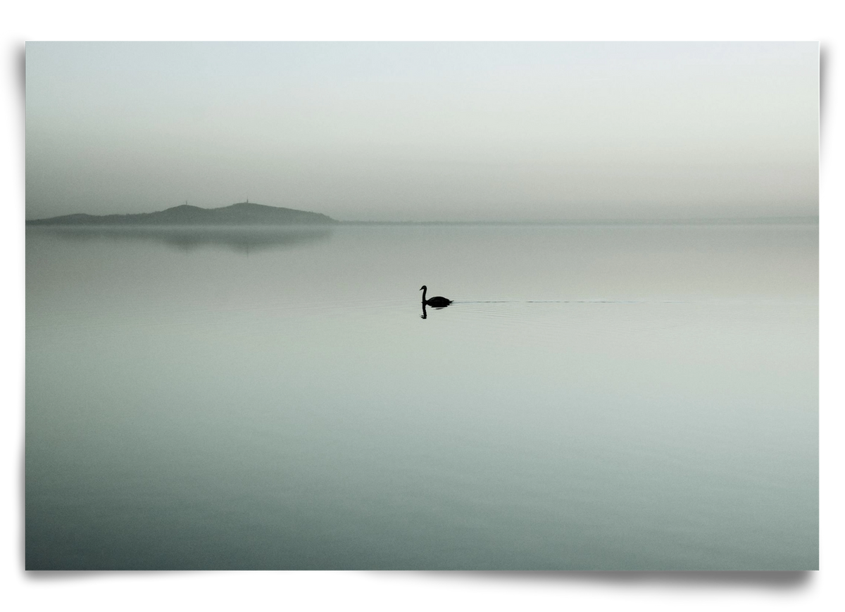 Helix, 90x60 cm, Keret nélkül