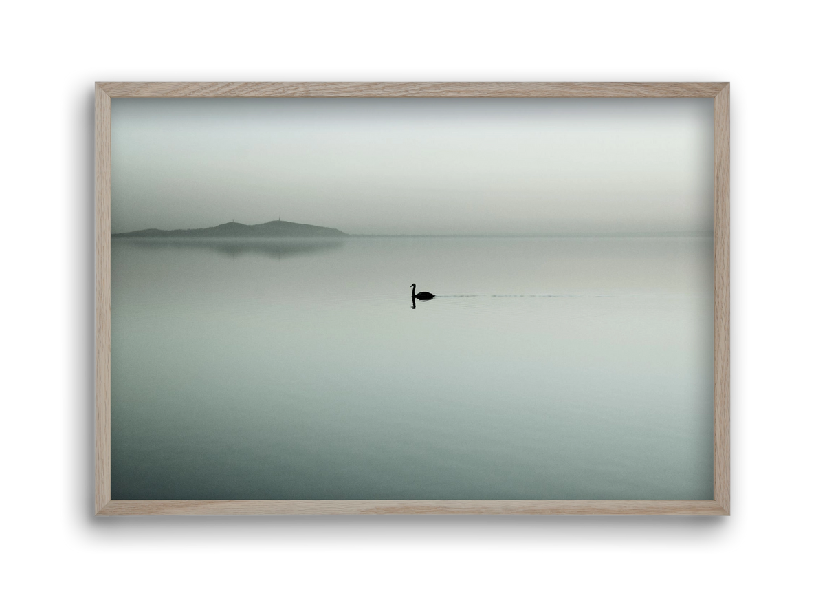 Helix, 45x30 cm (45x30 cm), Tölgy keret