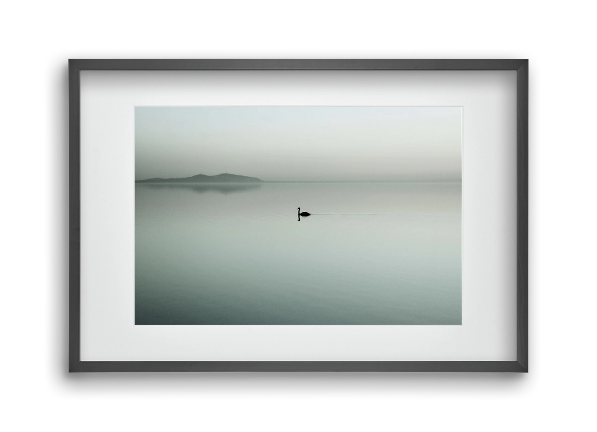 Helix, 45x30 cm (30x20 cm), Fekete keret, paszpartuval