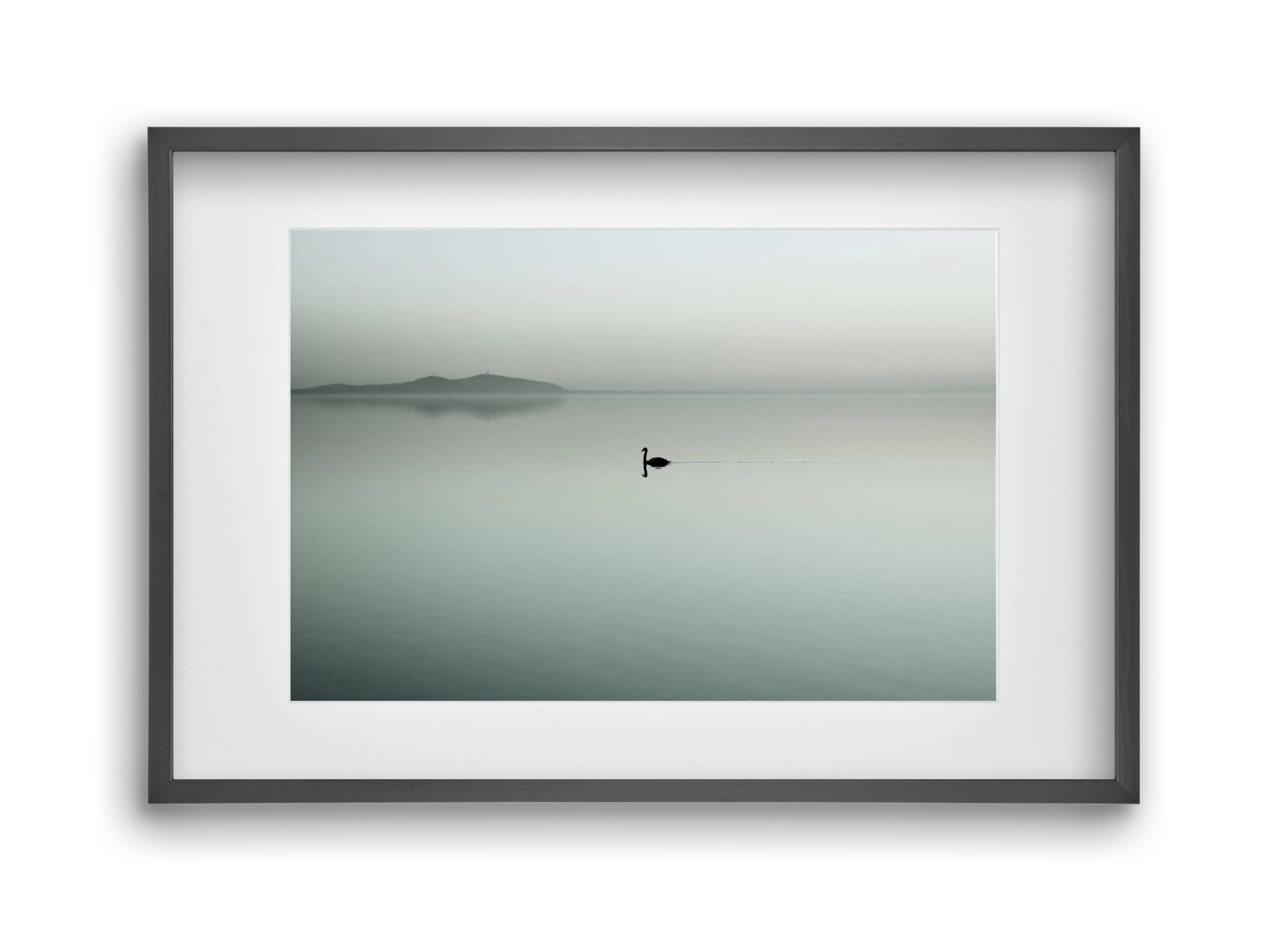 Helix, 45x30 cm (30x20 cm), Fekete keret, paszpartuval