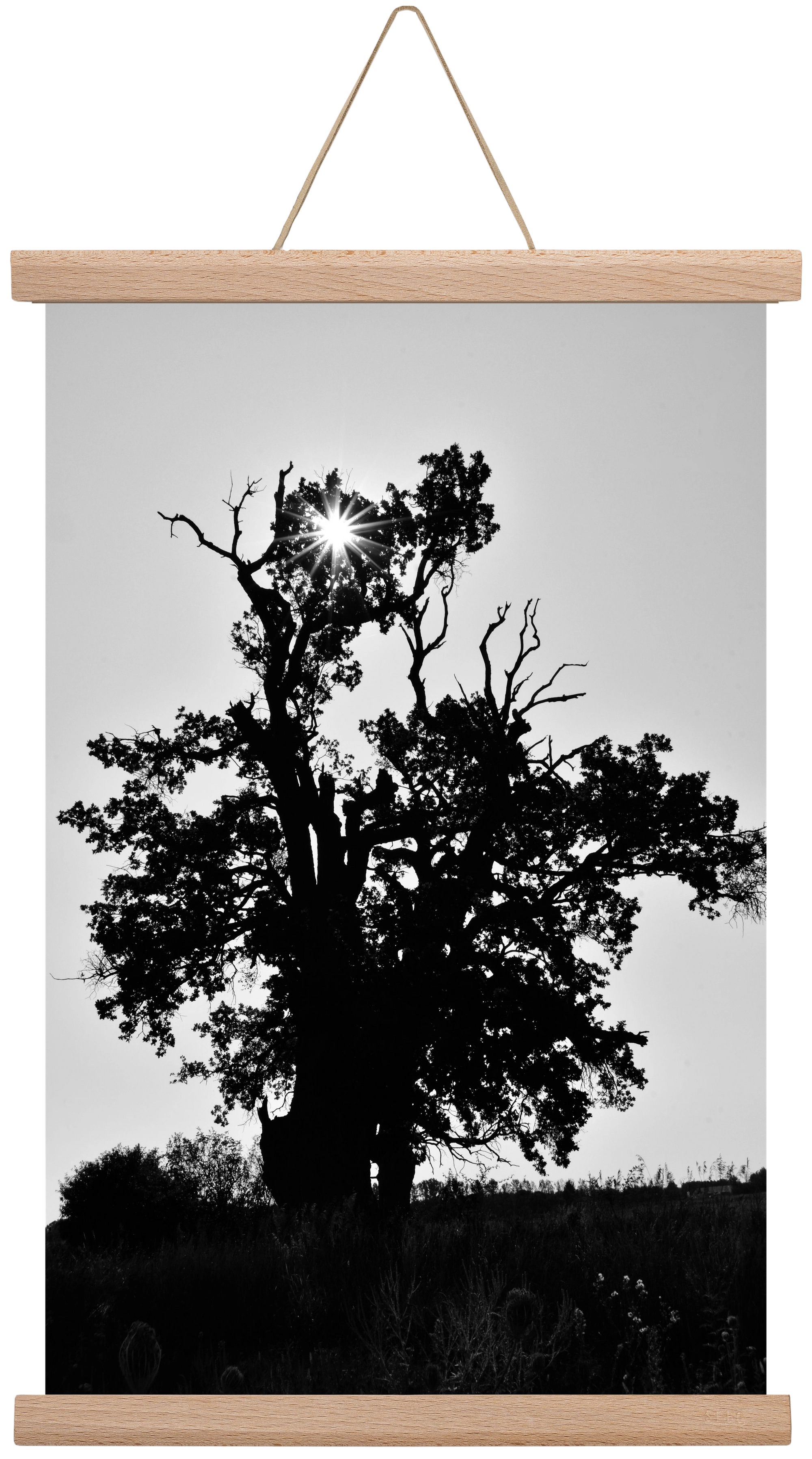 The Oak, 30x45 cm (30x45 cm), Tölgy akasztó