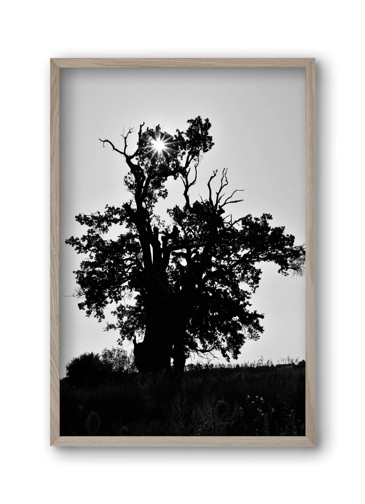 The Oak, 30x45 cm (30x45 cm), Tölgy keret