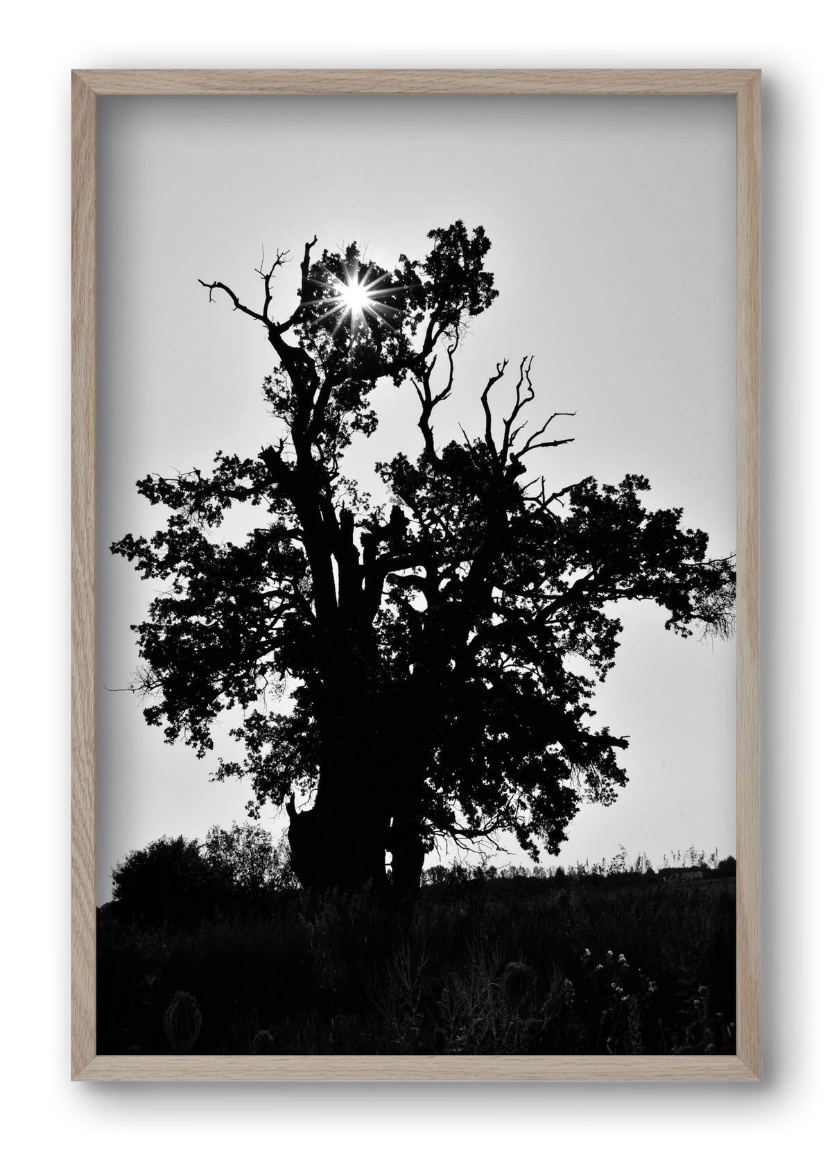 The Oak, 40x60 cm (40x60 cm), Tölgy keret