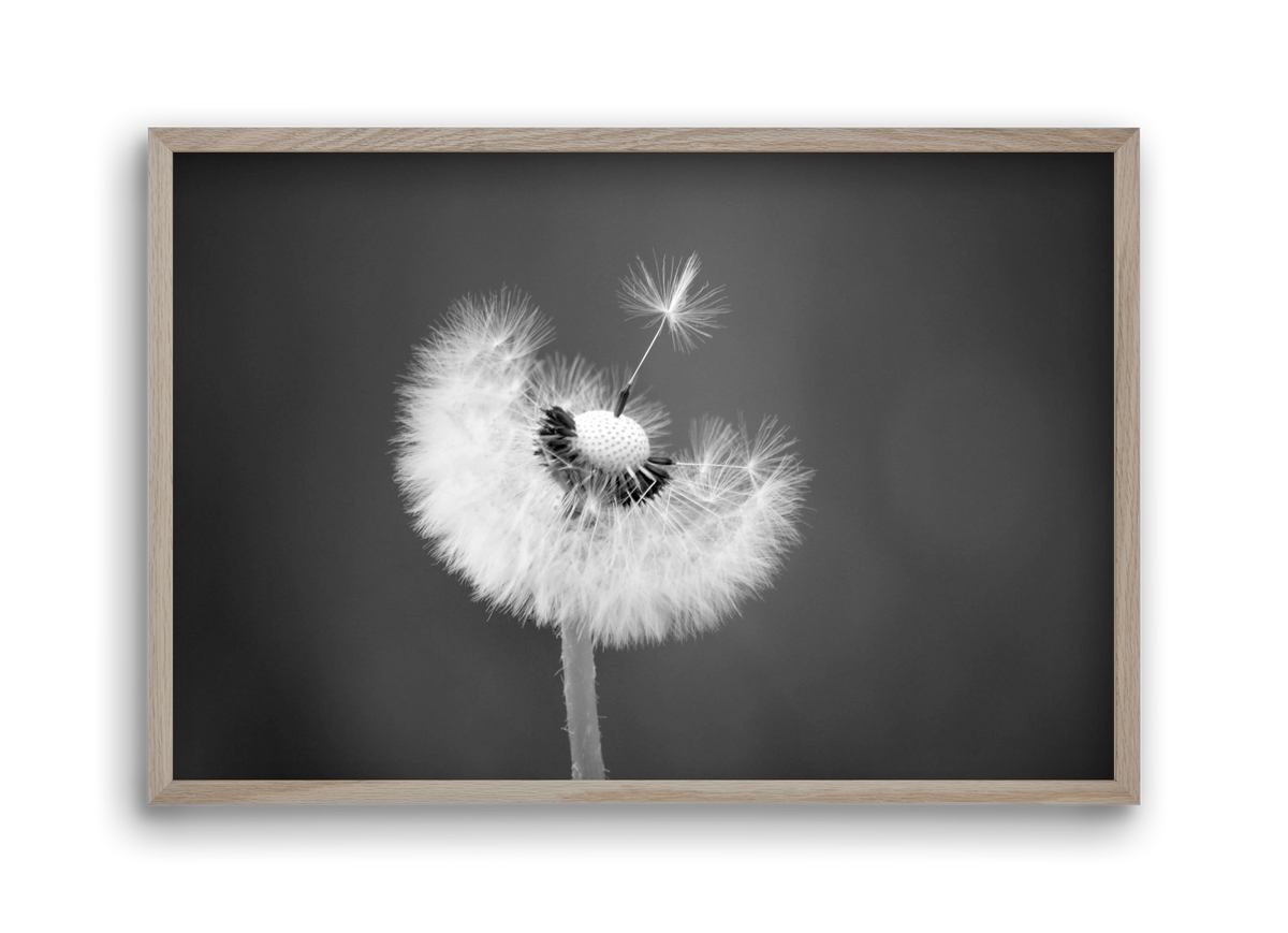 Loyalty, 45x30 cm (45x30 cm), Tölgy keret