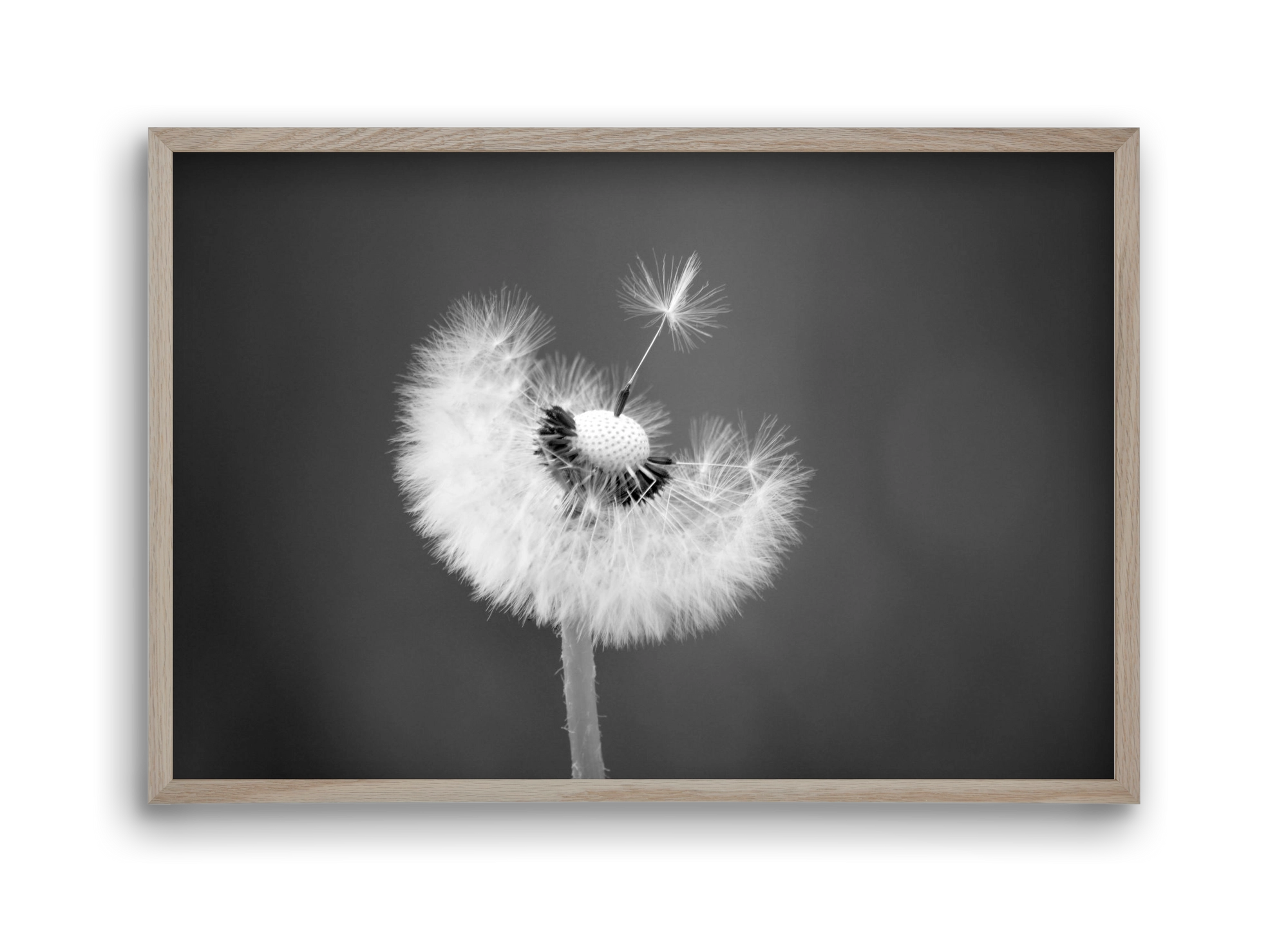 Loyalty, 45x30 cm (45x30 cm), Tölgy keret