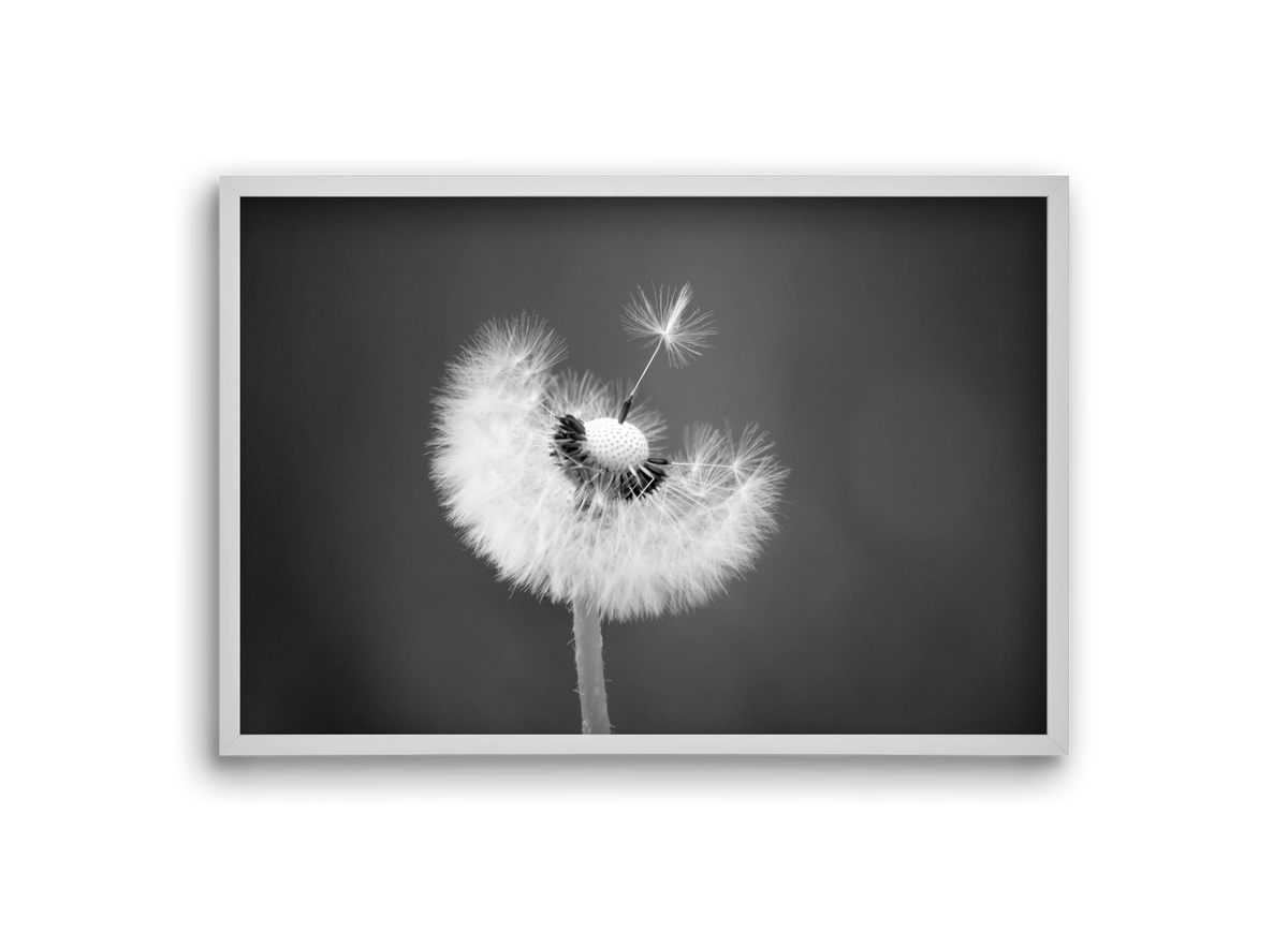Loyalty, 30x20 cm (30x20 cm), Fehér keret
