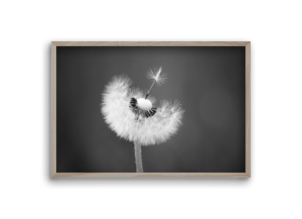 Loyalty, 30x20 cm (30x20 cm), Tölgy keret