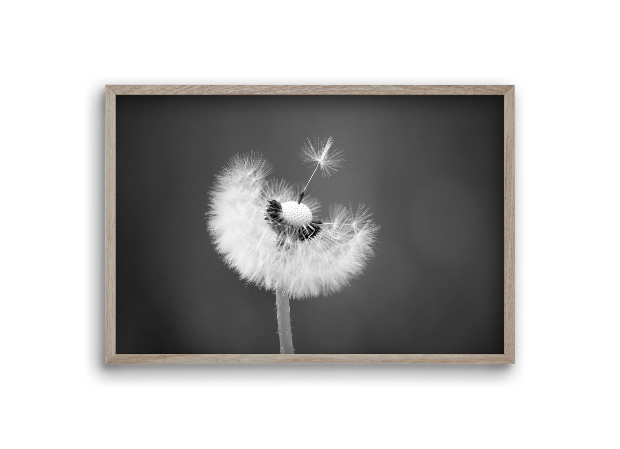 Loyalty, 30x20 cm (30x20 cm), Tölgy keret