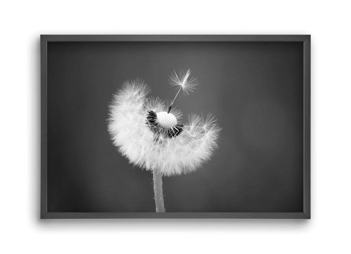 Loyalty, 45x30 cm (45x30 cm), Fekete keret