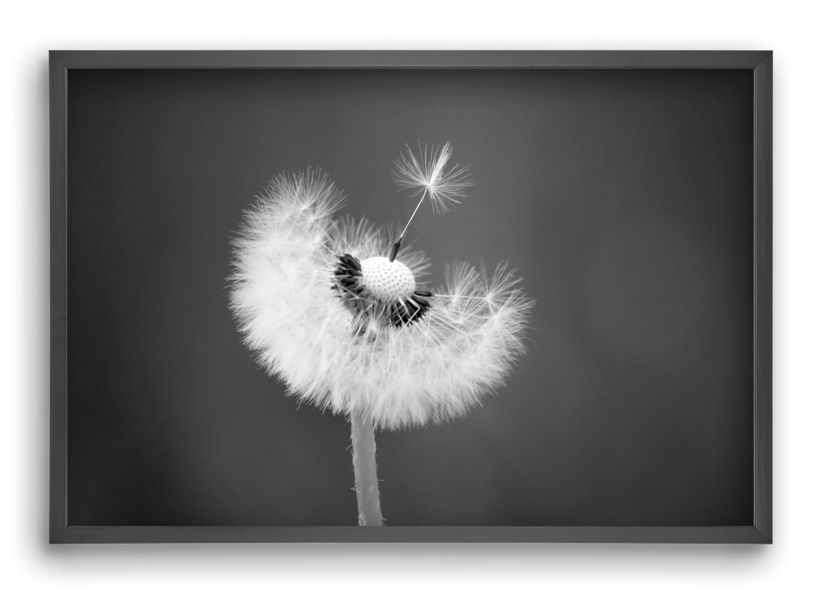 Loyalty, 60x40 cm (60x40 cm), Fekete keret