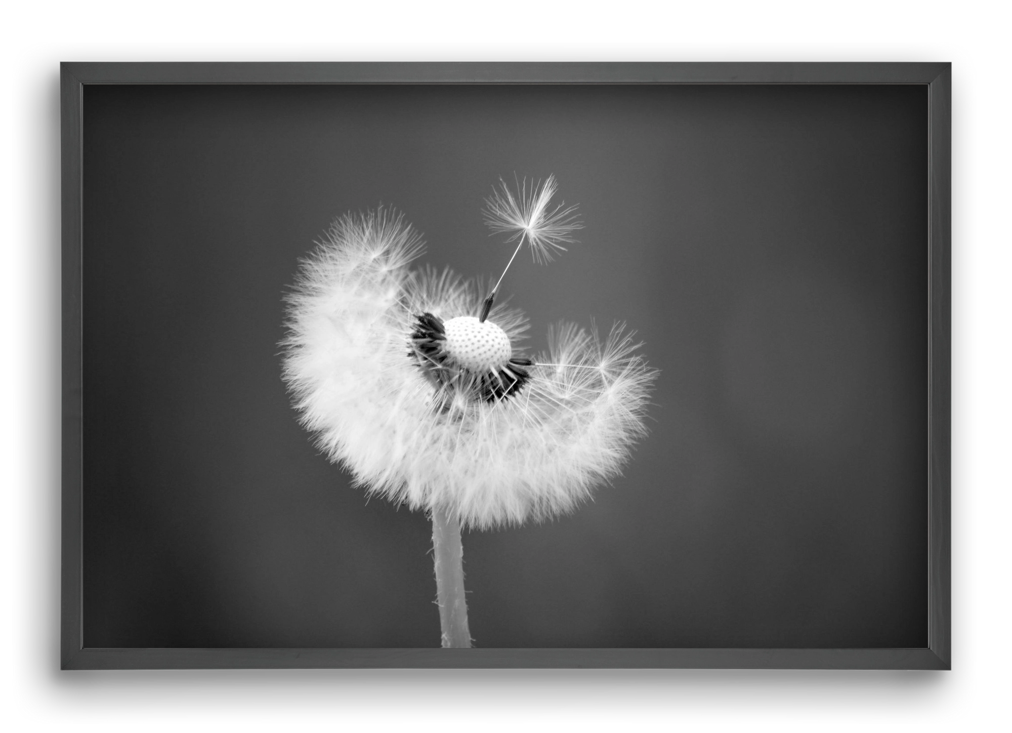 Loyalty, 60x40 cm (60x40 cm), Fekete keret