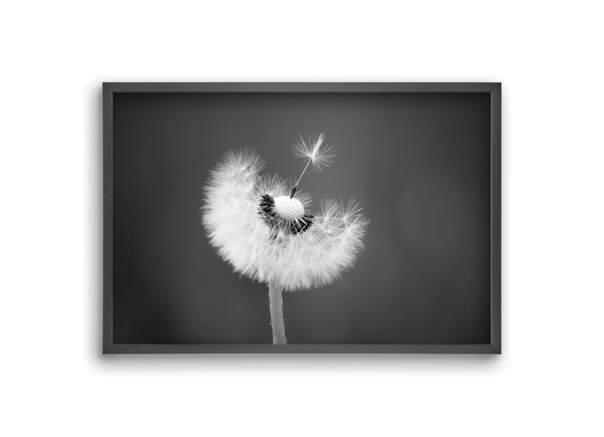 Loyalty, 30x20 cm (30x20 cm), Fekete keret