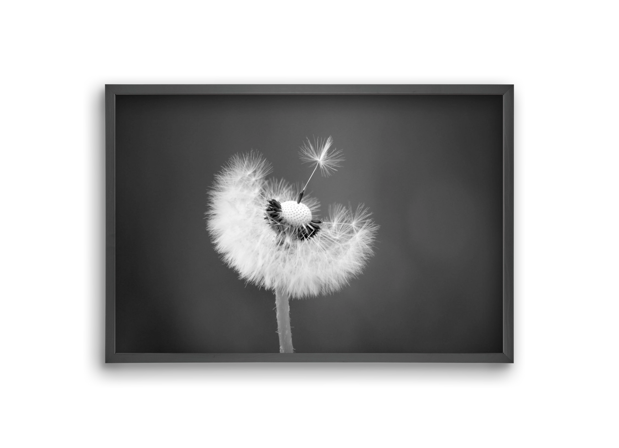 Loyalty, 30x20 cm (30x20 cm), Fekete keret