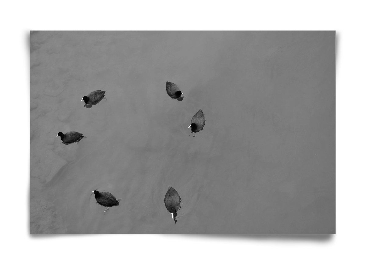 Round, 60x40 cm, Keret nélkül