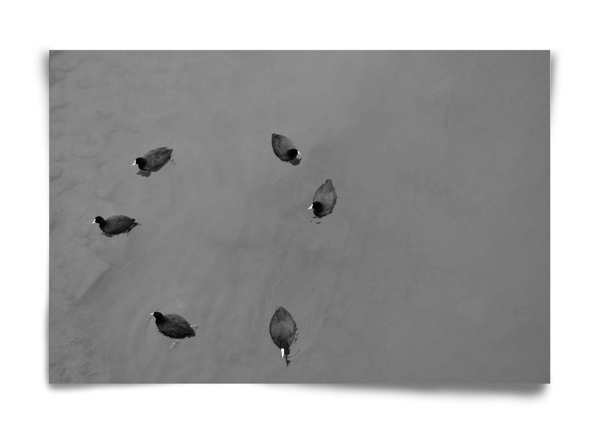 Round, 60x40 cm, Keret nélkül