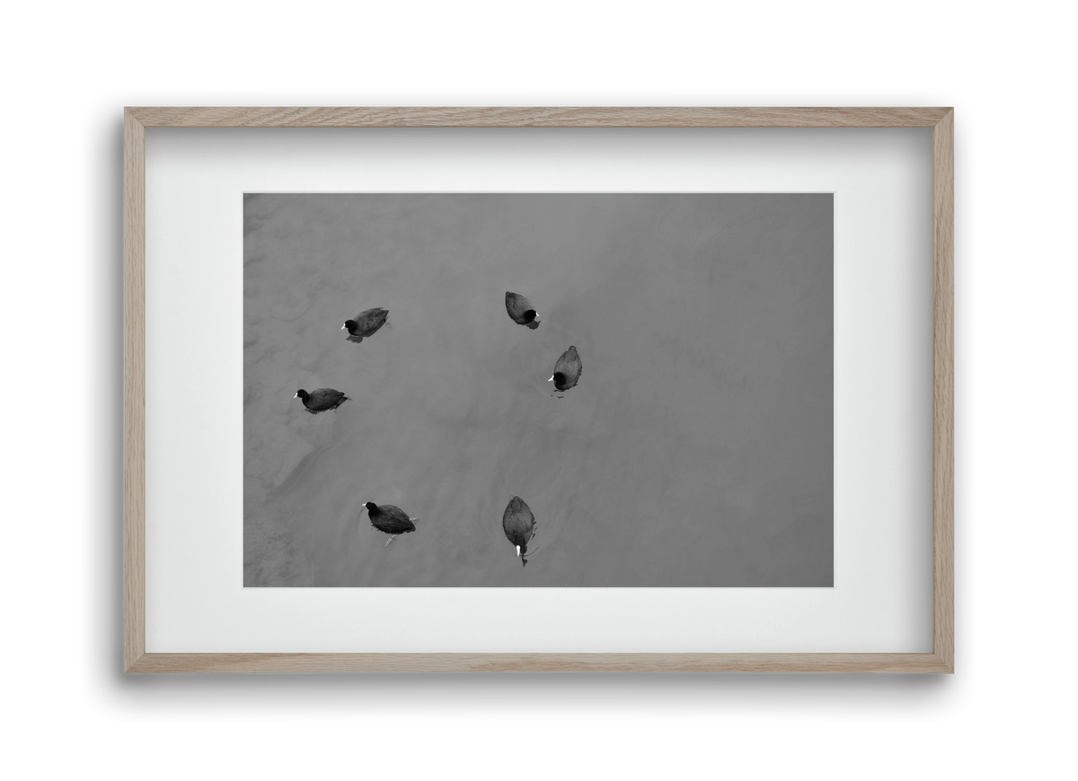 Round, 45x30 cm (30x20 cm), Tölgy keret, paszpartuval