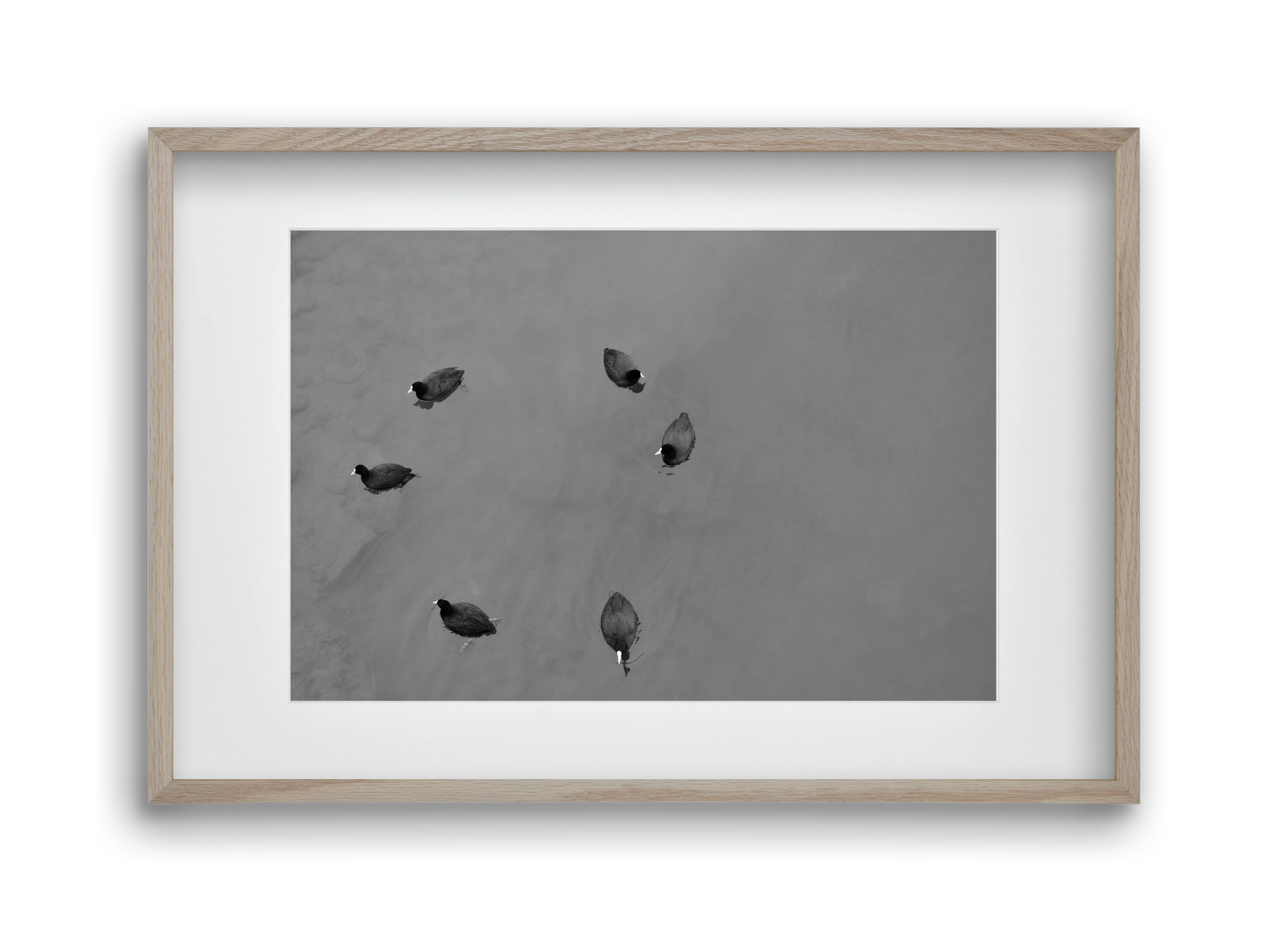 Round, 45x30 cm (30x20 cm), Tölgy keret, paszpartuval