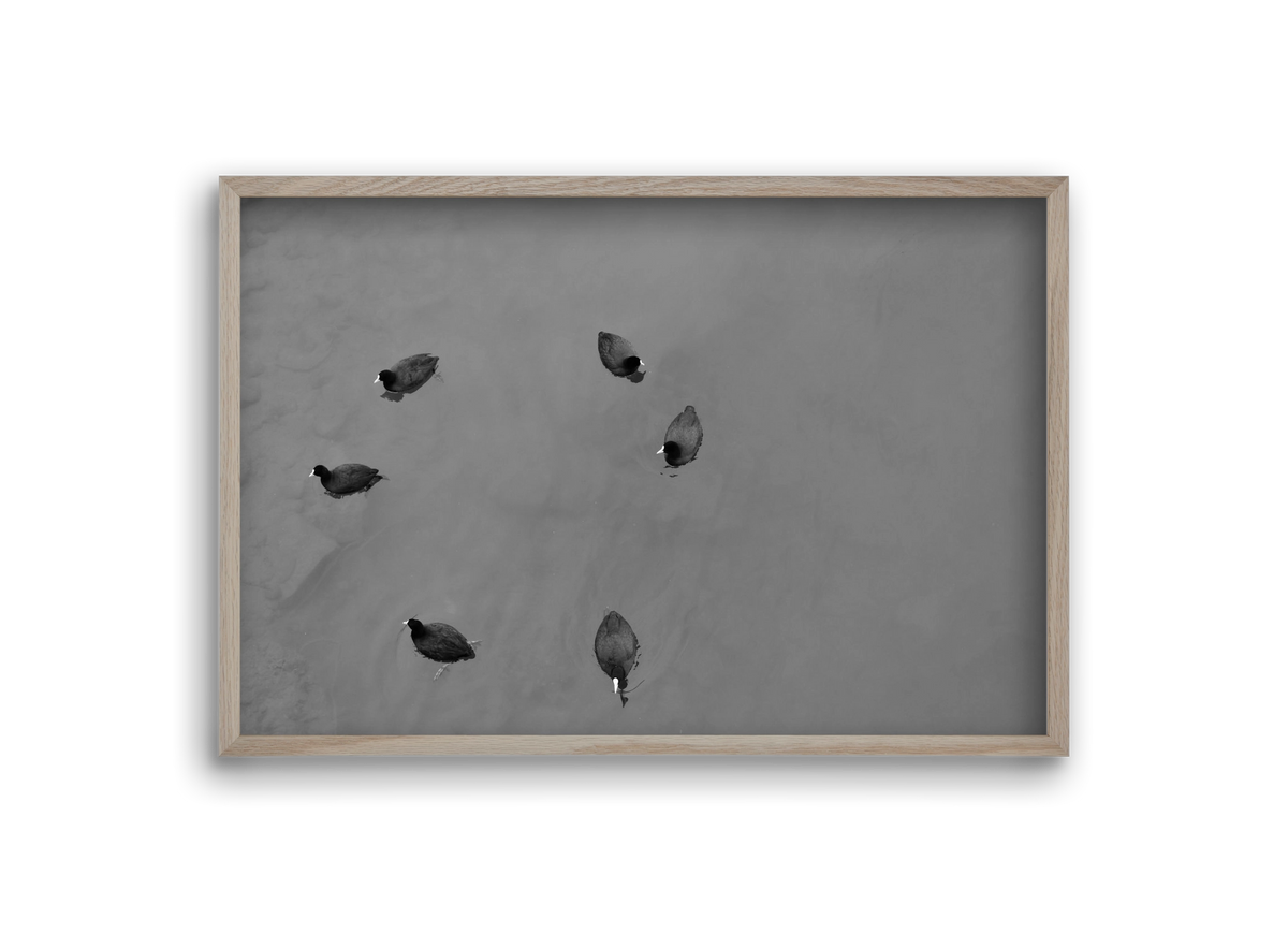 Round, 30x20 cm (30x20 cm), Tölgy keret