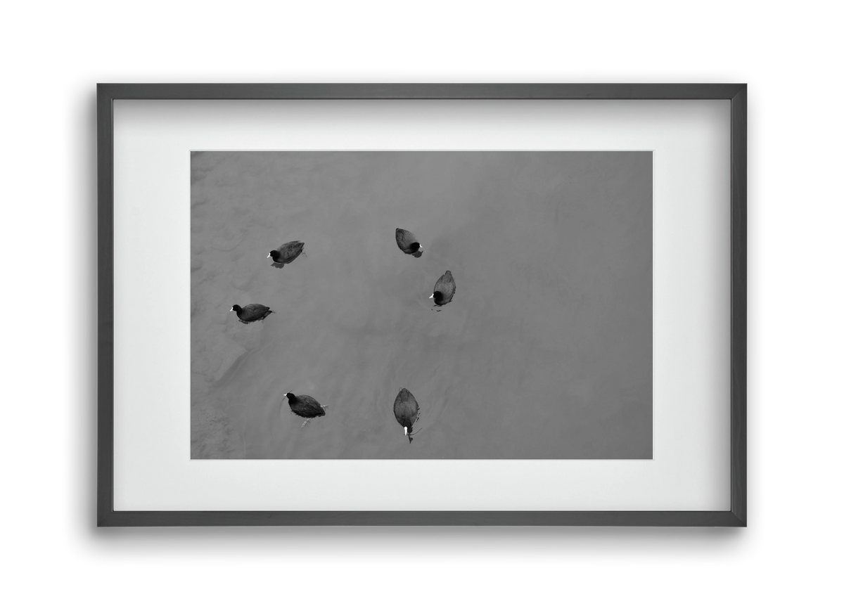 Round, 45x30 cm (30x20 cm), Fekete keret, paszpartuval