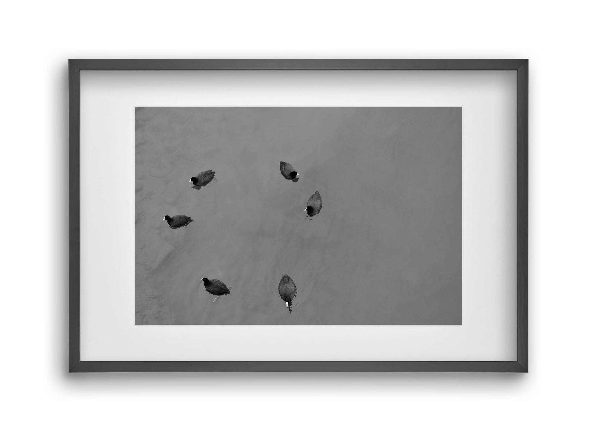 Round, 45x30 cm (30x20 cm), Fekete keret, paszpartuval