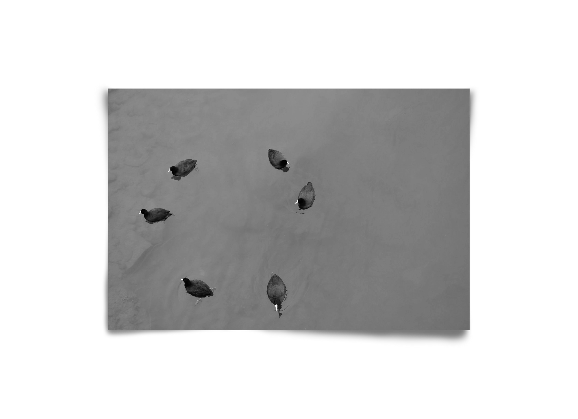 Round, 30x20 cm, Keret nélkül