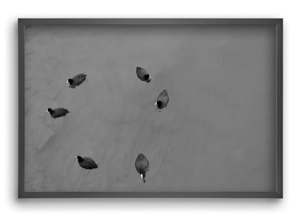 Round, 60x40 cm (60x40 cm), Fekete keret