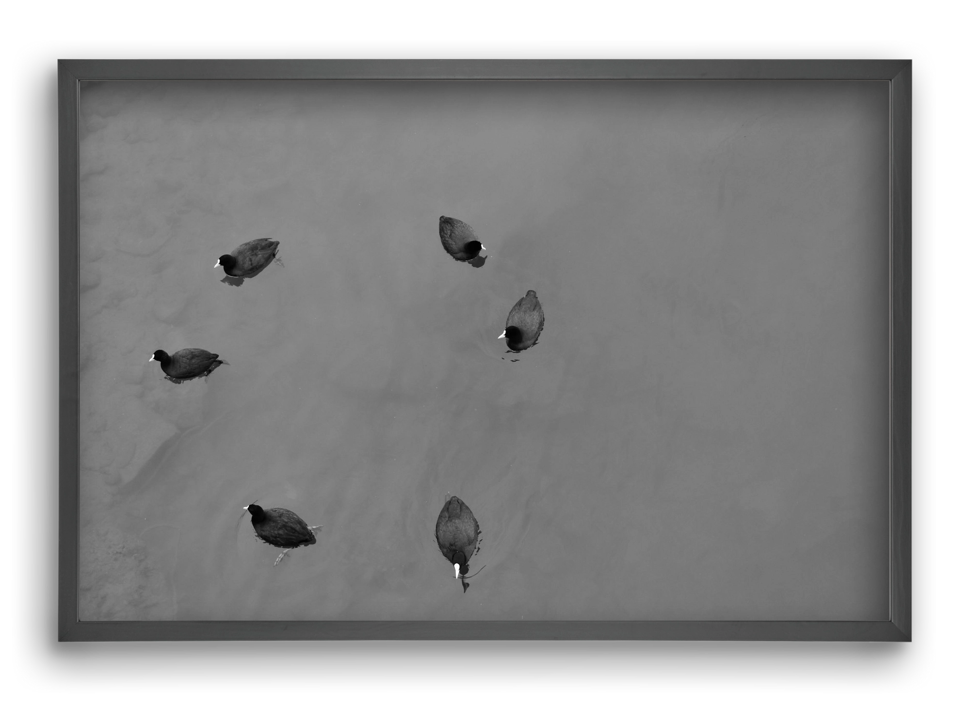 Round, 60x40 cm (60x40 cm), Fekete keret