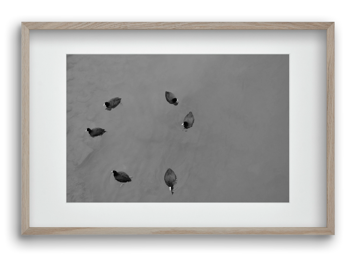 Round, 60x40 cm (45x30 cm), Tölgy keret, paszpartuval