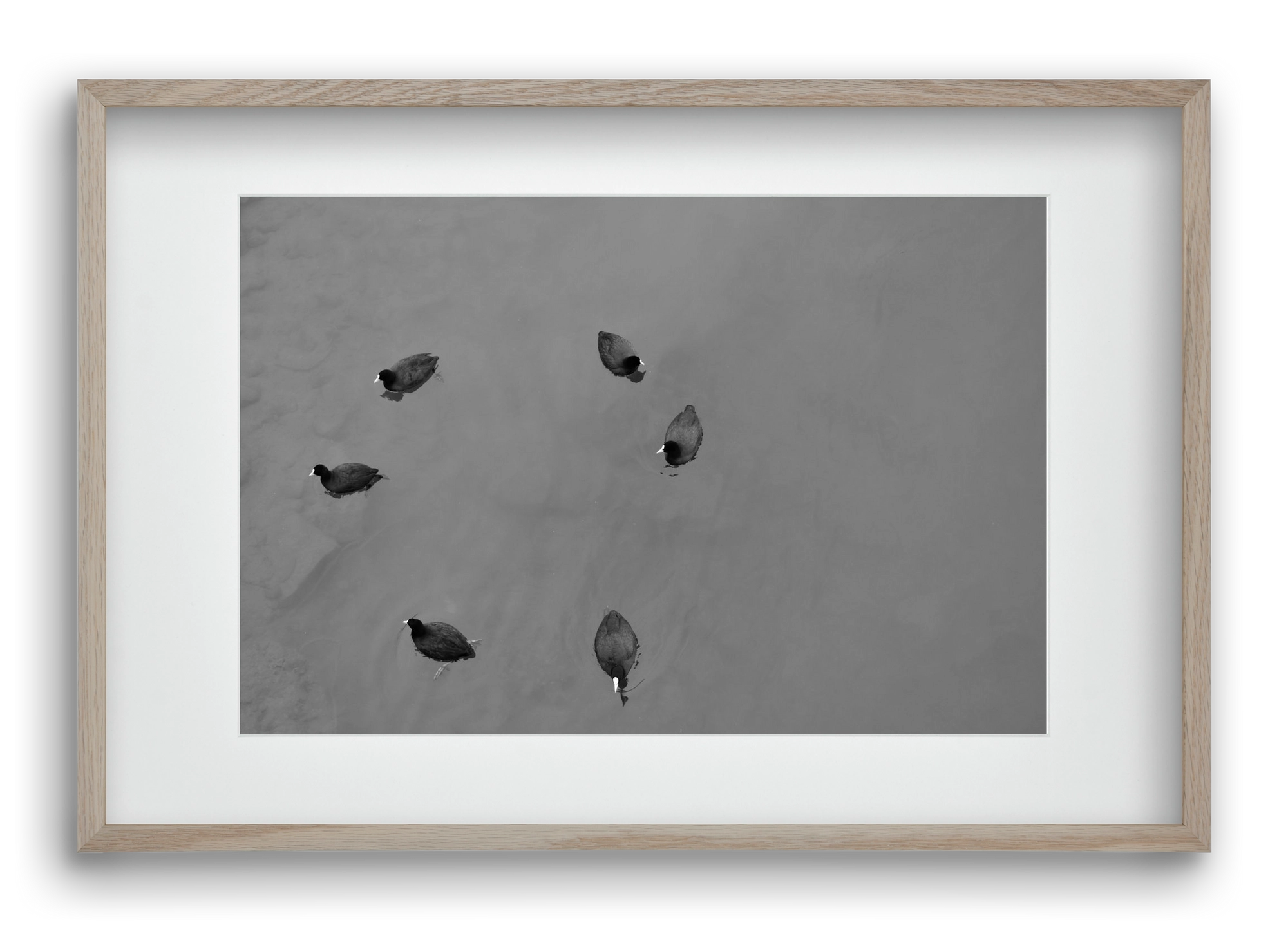 Round, 60x40 cm (45x30 cm), Tölgy keret, paszpartuval