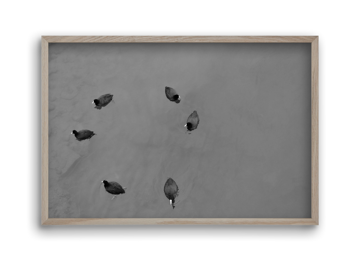 Round, 45x30 cm (45x30 cm), Tölgy keret