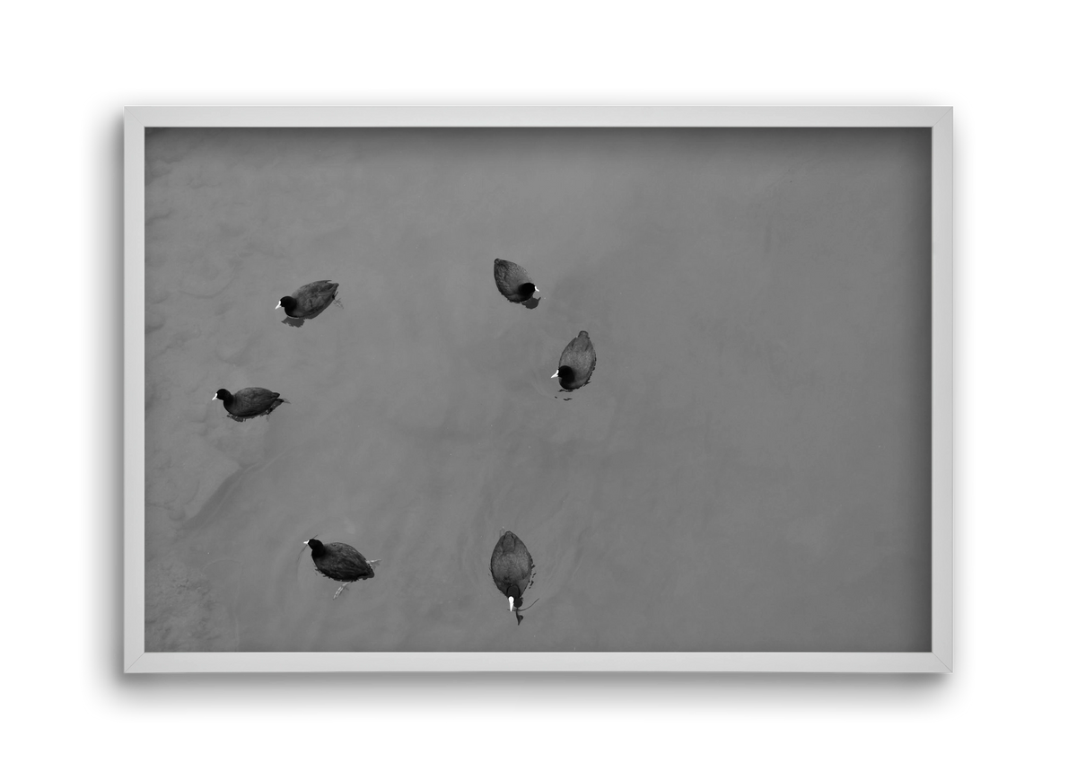 Round, 45x30 cm (45x30 cm), Fehér keret