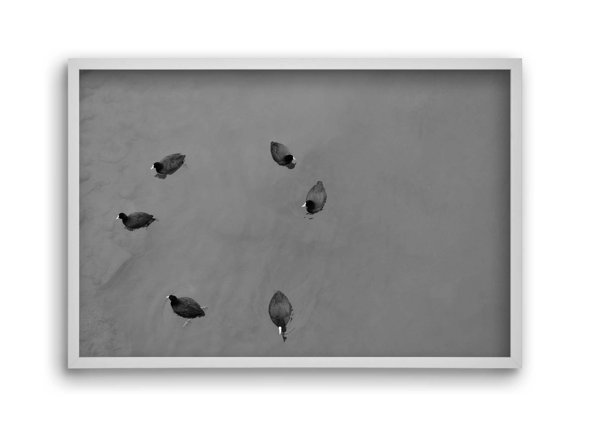 Round, 45x30 cm (45x30 cm), Fehér keret