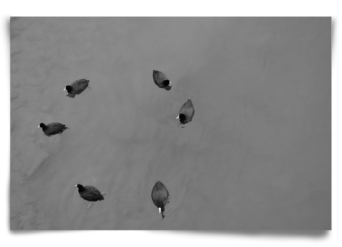 Round, 90x60 cm, Keret nélkül