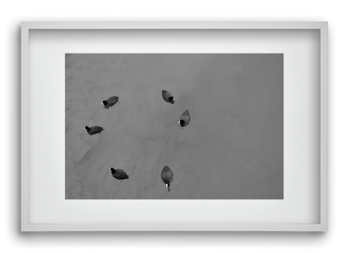 Round, 60x40 cm (45x30 cm), Fehér keret, paszpartuval