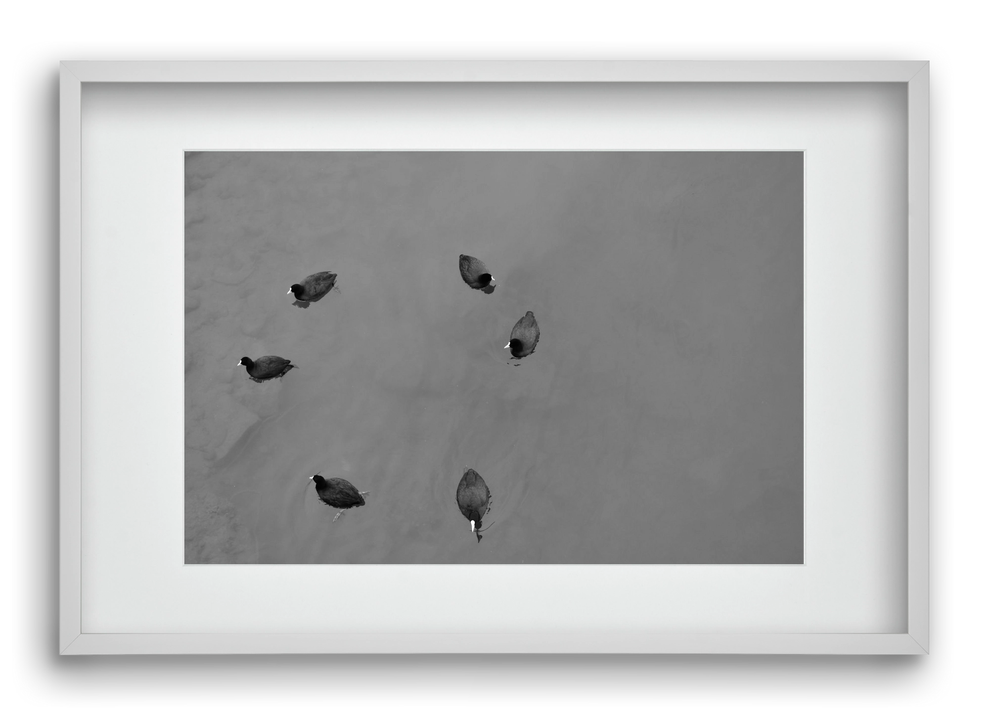 Round, 60x40 cm (45x30 cm), Fehér keret, paszpartuval