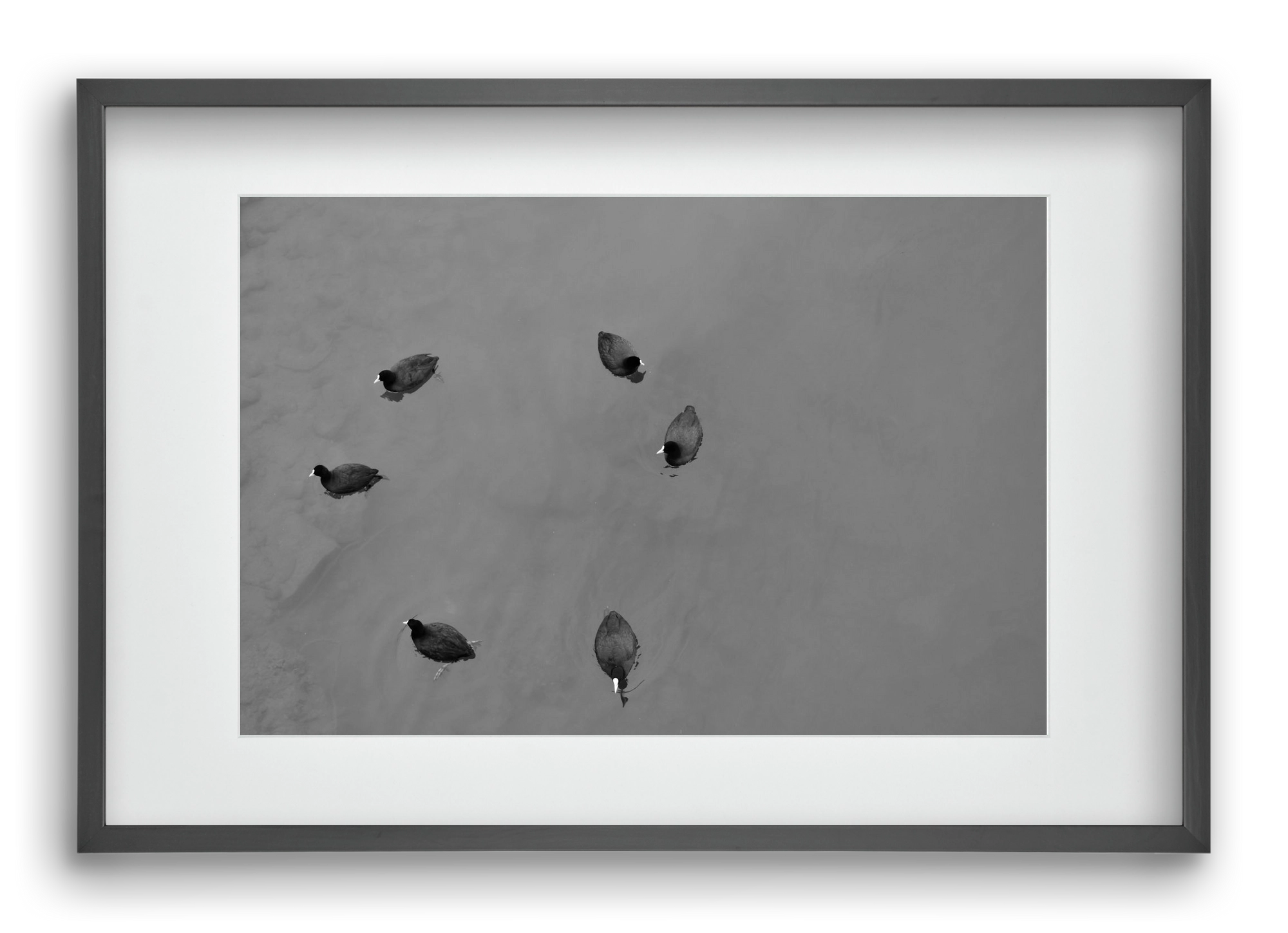 Round, 60x40 cm (45x30 cm), Fekete keret, paszpartuval