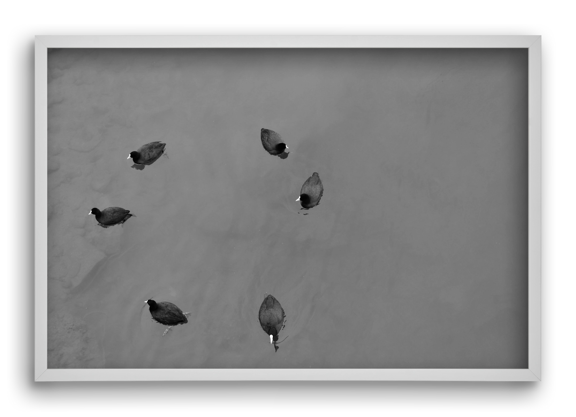 Round, 60x40 cm (60x40 cm), Fehér keret