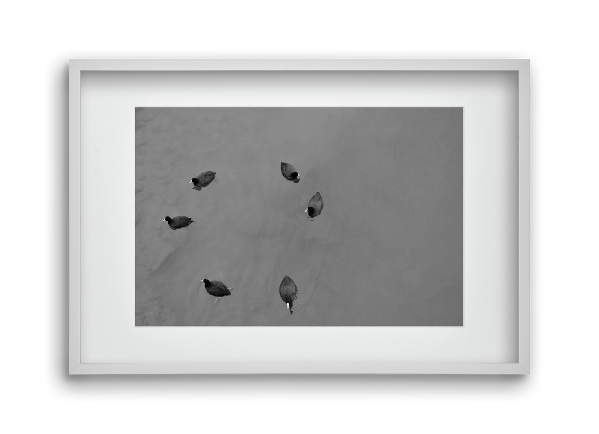 Round, 45x30 cm (30x20 cm), Fehér keret, paszpartuval