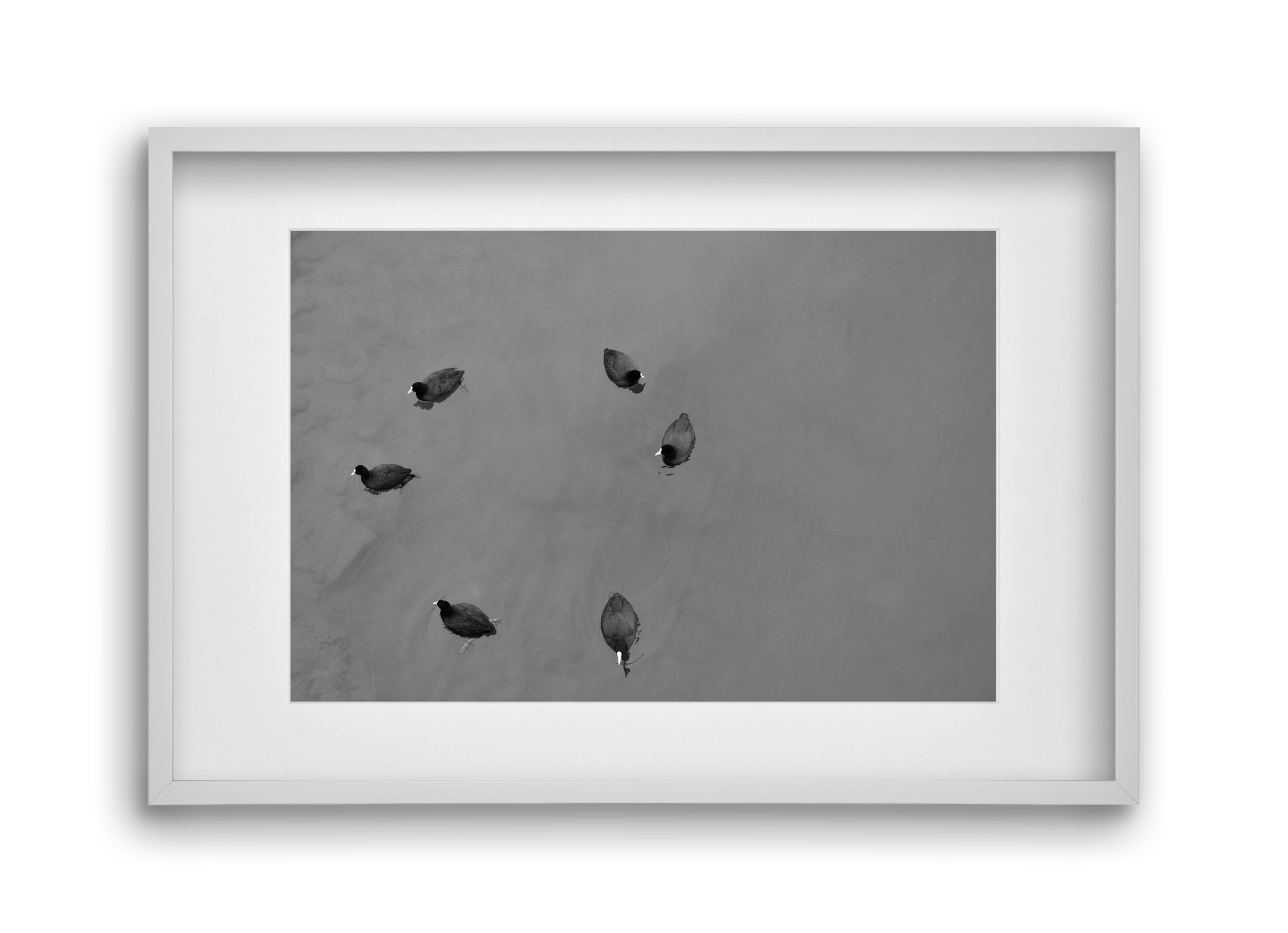 Round, 45x30 cm (30x20 cm), Fehér keret, paszpartuval