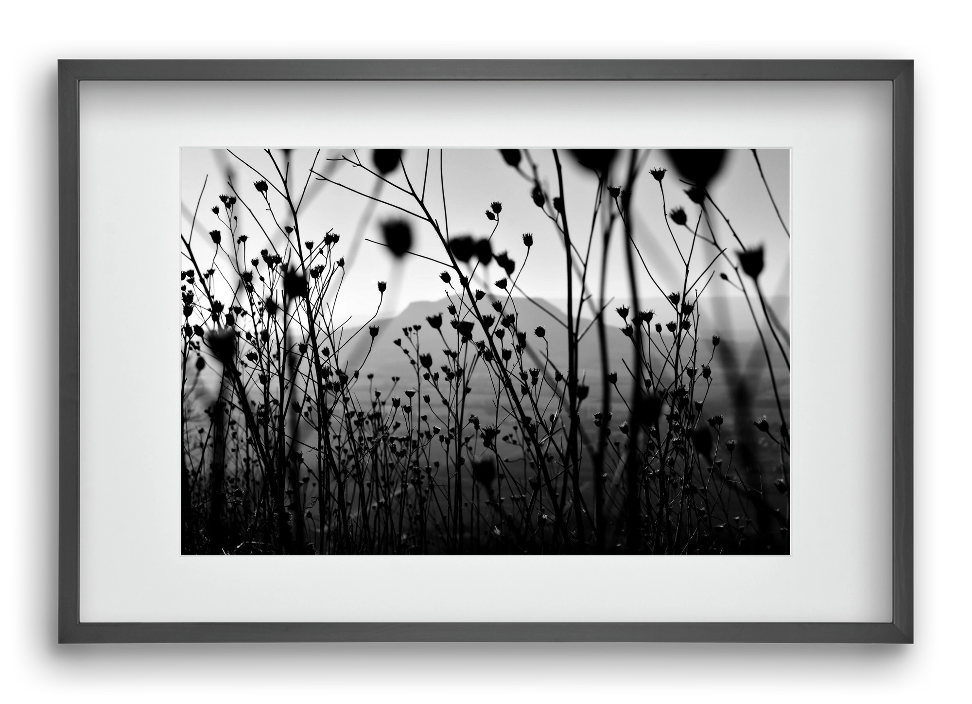 Csobanc, 60x40 cm (45x30 cm), Fekete keret, paszpartuval