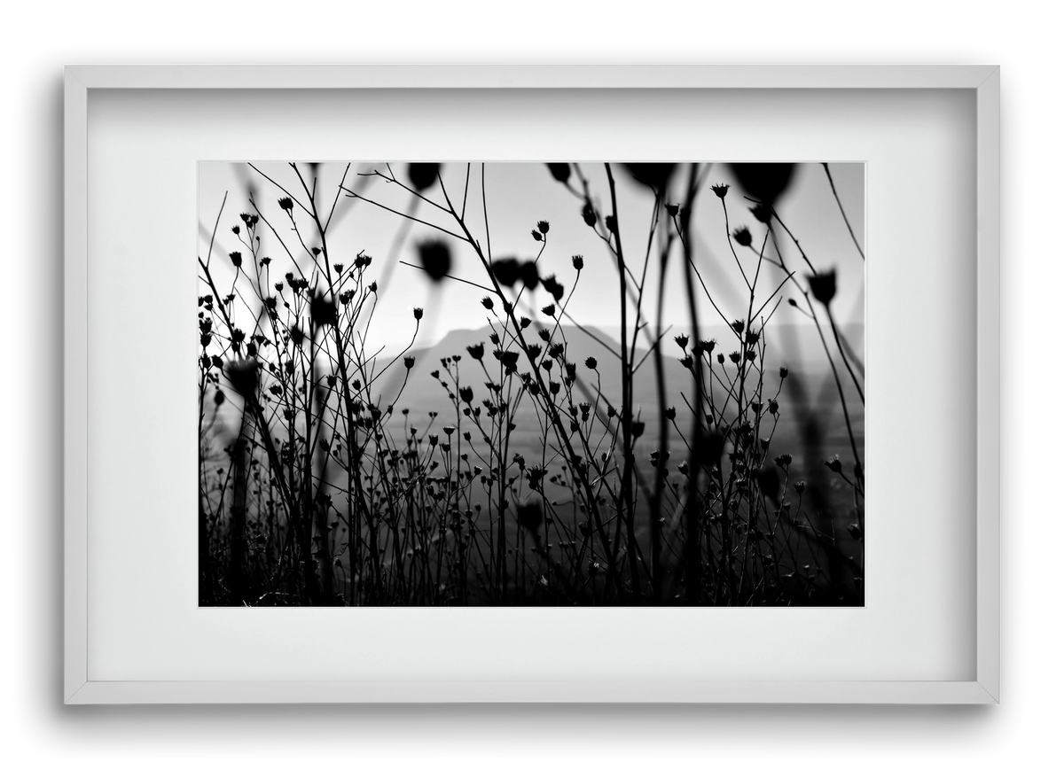 Csobanc, 60x40 cm (45x30 cm), Fehér keret, paszpartuval