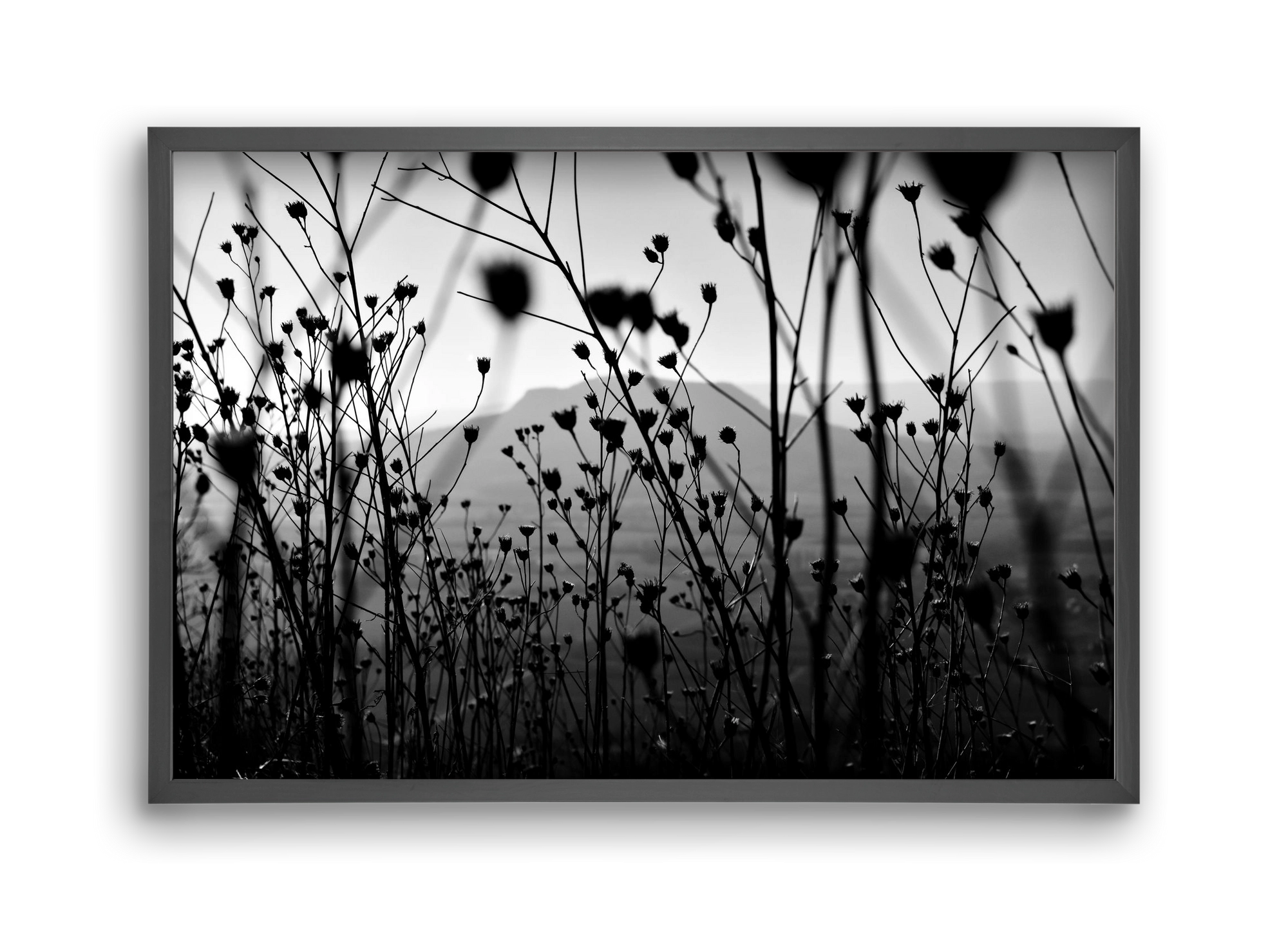 Csobanc, 45x30 cm (45x30 cm), Fekete keret