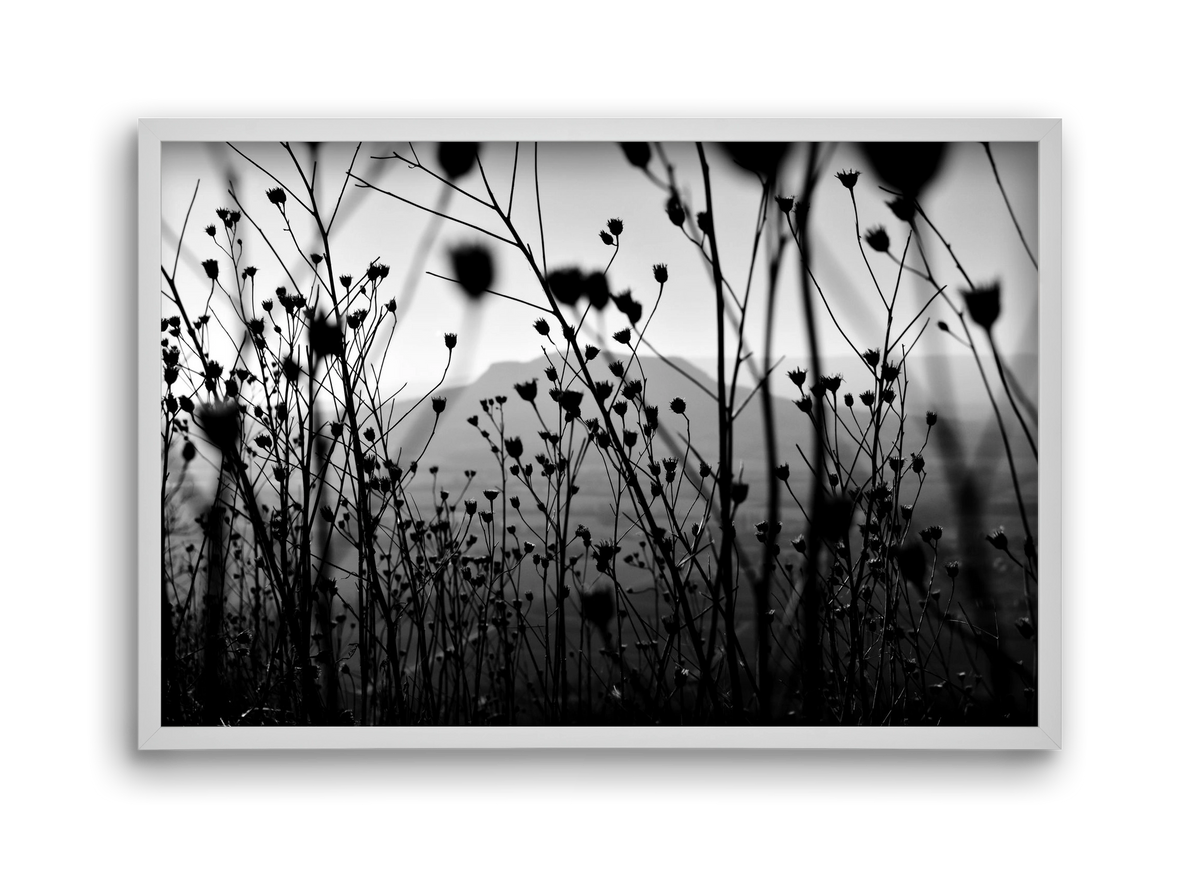 Csobanc, 45x30 cm (45x30 cm), Fehér keret